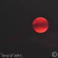 Dark Sun C