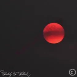 Dark Sun C